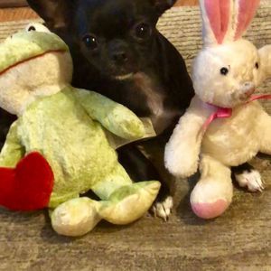 Meet your Posher, Tracy